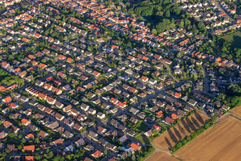 Vue aérienne de Sur Herrenweg à Herxheim bei Landau dans le département Rhénanie-Palatinat, Allemagne