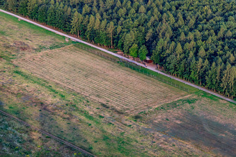 Vue oblique de Modèle d'aérodrome du MSC Rülzheim vu de l'ouest à Rülzheim dans le département Rhénanie-Palatinat, Allemagne