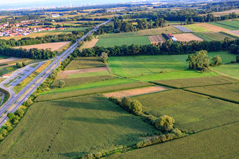 Vue aérienne de Aire de repos B9 Rheinaue à Leimersheim dans le département Rhénanie-Palatinat, Allemagne