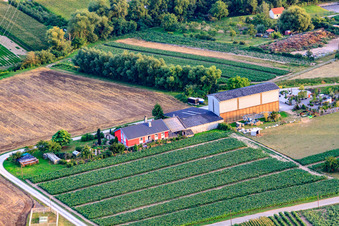 Vue aérienne de Sur l'ancienne Nuepotzer Straße à Rheinzabern dans le département Rhénanie-Palatinat, Allemagne