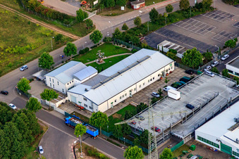 Vue aérienne de Dans les zones boisées à Landau in der Pfalz dans le département Rhénanie-Palatinat, Allemagne
