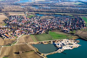 Photographie aérienne de Champs agricoles et terres agricoles à Leimersheim dans le département Rhénanie-Palatinat, Allemagne