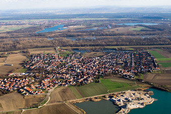 Vue oblique de Champs agricoles et terres agricoles à Leimersheim dans le département Rhénanie-Palatinat, Allemagne