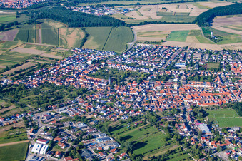 Vue aérienne de Champs agricoles et terres agricoles à le quartier Liedolsheim in Dettenheim dans le département Bade-Wurtemberg, Allemagne