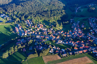 Photographie aérienne de Quartier Siedelsbrunn in Wald-Michelbach dans le département Hesse, Allemagne