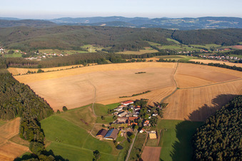 Vue aérienne de Rossbacher Hof à Erbach dans le département Hesse, Allemagne