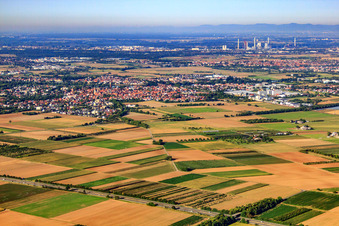 Photographie aérienne de Ladenburg dans le département Bade-Wurtemberg, Allemagne