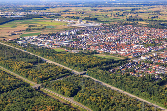 Photographie aérienne de Vue de la ville depuis le nord-est à Ketsch dans le département Bade-Wurtemberg, Allemagne