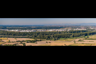 Vue aérienne de Panorama de la zone industrielle de Stockholmer Straße depuis la rive droite du Rhin à Speyer dans le département Rhénanie-Palatinat, Allemagne