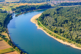 Vue aérienne de Banc de sable dans le Rhin à Speyer à Speyer dans le département Rhénanie-Palatinat, Allemagne