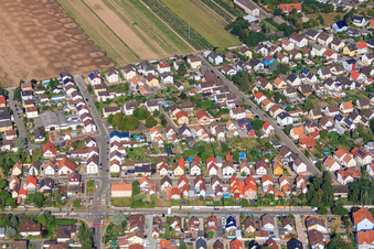 Vue aérienne de Rue Albert Schweitzer à le quartier Sondernheim in Germersheim dans le département Rhénanie-Palatinat, Allemagne