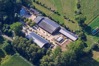 Vue oblique de Écuries Kennelhof à le quartier Sondernheim in Germersheim dans le département Rhénanie-Palatinat, Allemagne