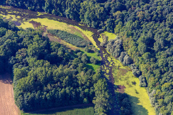 Vue aérienne de Michelsbach dans l'Altrheinauen à le quartier Sondernheim in Germersheim dans le département Rhénanie-Palatinat, Allemagne