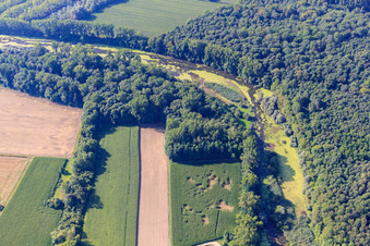 Vue aérienne de Michelsbach dans l'Altrheinauen à le quartier Sondernheim in Germersheim dans le département Rhénanie-Palatinat, Allemagne