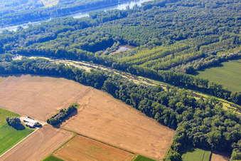Photographie aérienne de Michelsbach dans l'Altrheinauen à le quartier Sondernheim in Germersheim dans le département Rhénanie-Palatinat, Allemagne
