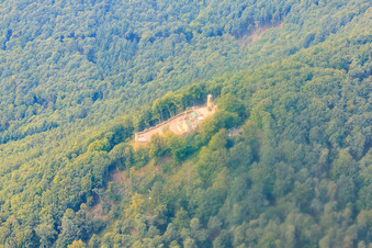 Vue aérienne de Ruines du château de Rietburg Rietburg à Venningen dans le département Rhénanie-Palatinat, Allemagne