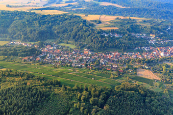 Vue aérienne de Vignobles sur le Katzenberg à Weingarten dans le département Bade-Wurtemberg, Allemagne
