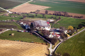 Vue aérienne de Ferme équestre Heidebrunnerhof à Oberotterbach dans le département Rhénanie-Palatinat, Allemagne