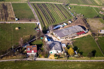 Vue aérienne de Ferme équestre Heidebrunnerhof à Oberotterbach dans le département Rhénanie-Palatinat, Allemagne