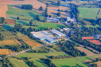Vue aérienne de Mauk Garden World Karlsruhe - Plantes Mauk Flower Paradise GmbH à le quartier Grötzingen in Karlsruhe dans le département Bade-Wurtemberg, Allemagne