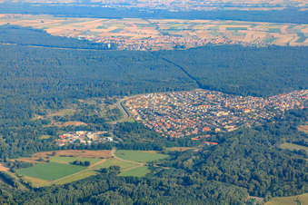 Photographie aérienne de Vue d'ensemble de la ville depuis le sud à Jockgrim dans le département Rhénanie-Palatinat, Allemagne