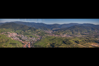 Vue aérienne de Perspective panoramique sur les vignobles et la Forêt-Noire à le quartier Altschweier in Bühl dans le département Bade-Wurtemberg, Allemagne