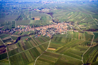 Vue aérienne de Village du sud à Göcklingen dans le département Rhénanie-Palatinat, Allemagne