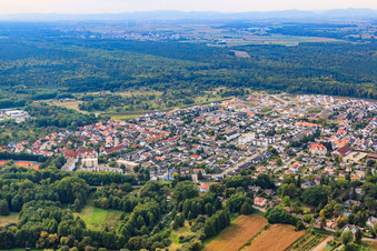 Vue aérienne de Buchstraße depuis l'est à Jockgrim dans le département Rhénanie-Palatinat, Allemagne