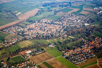 Vue aérienne de Du sud-ouest à le quartier Billigheim in Billigheim-Ingenheim dans le département Rhénanie-Palatinat, Allemagne