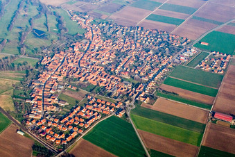 Vue aérienne de Champs agricoles et terres agricoles à Steinweiler dans le département Rhénanie-Palatinat, Allemagne