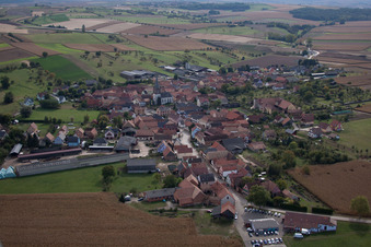 Vue aérienne de Champs agricoles et terres agricoles à Ingenheim dans le département Bas Rhin, France