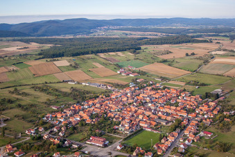 Vue oblique de Champs agricoles et terres agricoles à Uhrwiller dans le département Bas Rhin, France