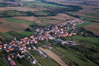 Vue aérienne de Champs agricoles et terres agricoles à Forstheim dans le département Bas Rhin, France
