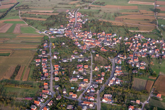 Vue oblique de Champs agricoles et terres agricoles à Gunstett dans le département Bas Rhin, France