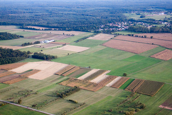 Dieffenbach-lès-Wœrth dans le département Bas Rhin, France du point de vue du drone