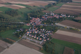 Vue aérienne de Champs agricoles et terres agricoles à Ingolsheim dans le département Bas Rhin, France