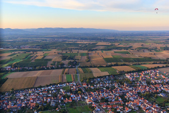 Vue aérienne de Volmersweilerer Straße à le quartier Schaidt in Wörth am Rhein dans le département Rhénanie-Palatinat, Allemagne