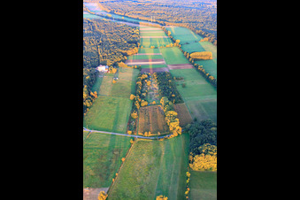 Vue aérienne de Plaines d'Otterbach et Bienwald à Minfeld dans le département Rhénanie-Palatinat, Allemagne