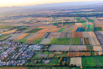 Vue aérienne de Parc éolien Minfeld depuis le sud à Minfeld dans le département Rhénanie-Palatinat, Allemagne
