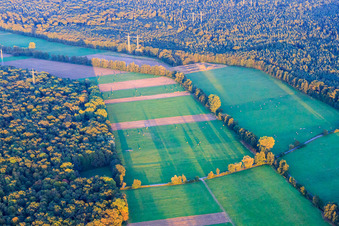 Vue aérienne de Plaines de Bruchbach et d'Otterbach et Bienwald à Kandel dans le département Rhénanie-Palatinat, Allemagne