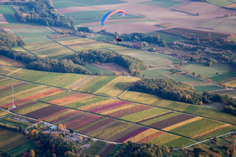 Vue aérienne de Paysage viticole avec parapente à Klingenmünster dans le département Rhénanie-Palatinat, Allemagne