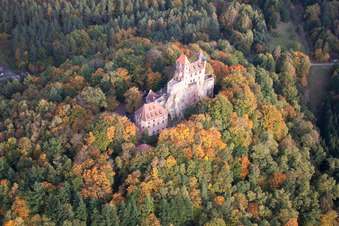 Vue d'oiseau de Château de Berwartstein à Erlenbach bei Dahn dans le département Rhénanie-Palatinat, Allemagne