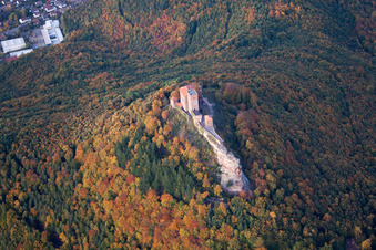 Vue aérienne de Annweiler, château de Trifels à Annweiler am Trifels dans le département Rhénanie-Palatinat, Allemagne