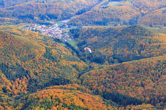 Vue aérienne de L'automne dans la forêt du Palatinat en parapente à Waldhambach dans le département Rhénanie-Palatinat, Allemagne