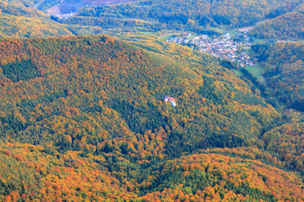 Vue aérienne de L'automne dans la forêt du Palatinat en parapente à Waldhambach dans le département Rhénanie-Palatinat, Allemagne