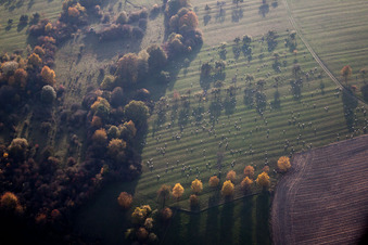 Lembach dans le département Bas Rhin, France d'en haut