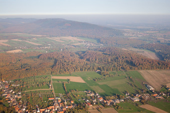 Photographie aérienne de Nehwiller-près-Wœrth dans le département Bas Rhin, France