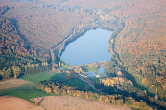 Reichshoffen dans le département Bas Rhin, France vu d'un drone