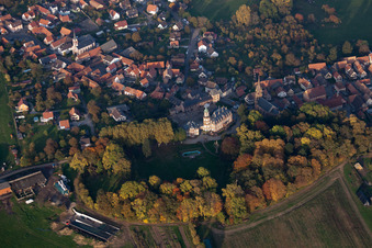 Vue aérienne de Château de Froeschwiller et son parc à Frœschwiller dans le département Bas Rhin, France