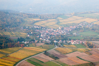 Cleebourg dans le département Bas Rhin, France vu d'un drone